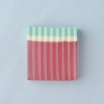 2pc WATERMELON SOAP